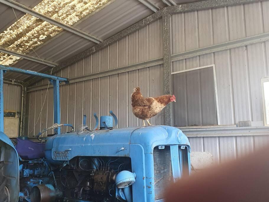 Handsome Hills Dairy Retreat Won Wron Esterno foto