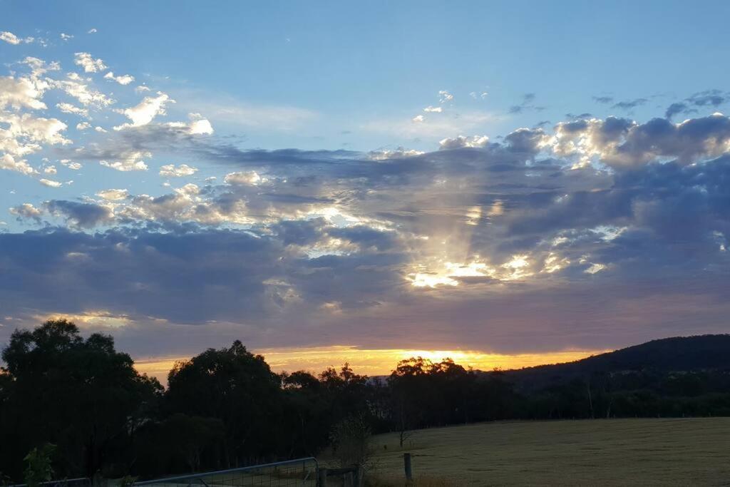 Handsome Hills Dairy Retreat Won Wron Esterno foto