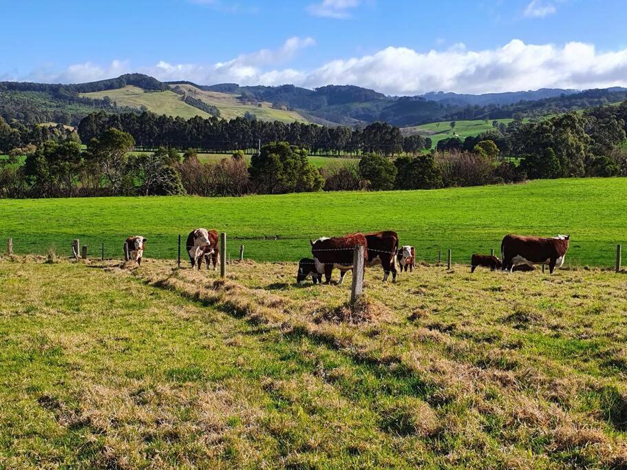 Handsome Hills Dairy Retreat Won Wron Esterno foto