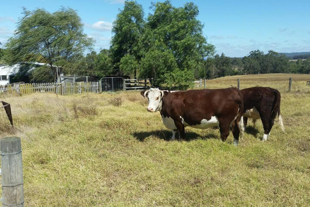 Handsome Hills Dairy Retreat Won Wron Esterno foto